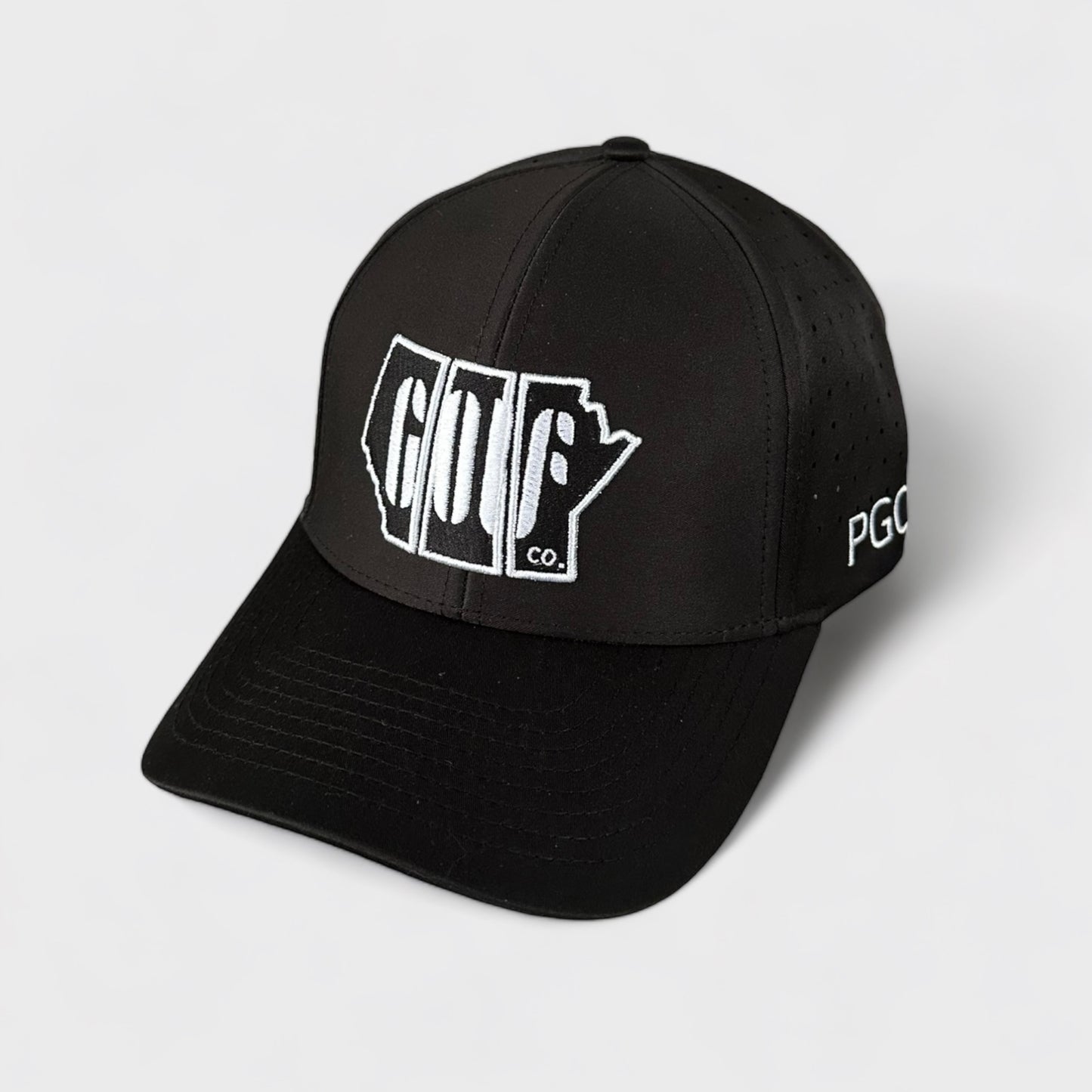 Logo Hat - Black (6 Panel)